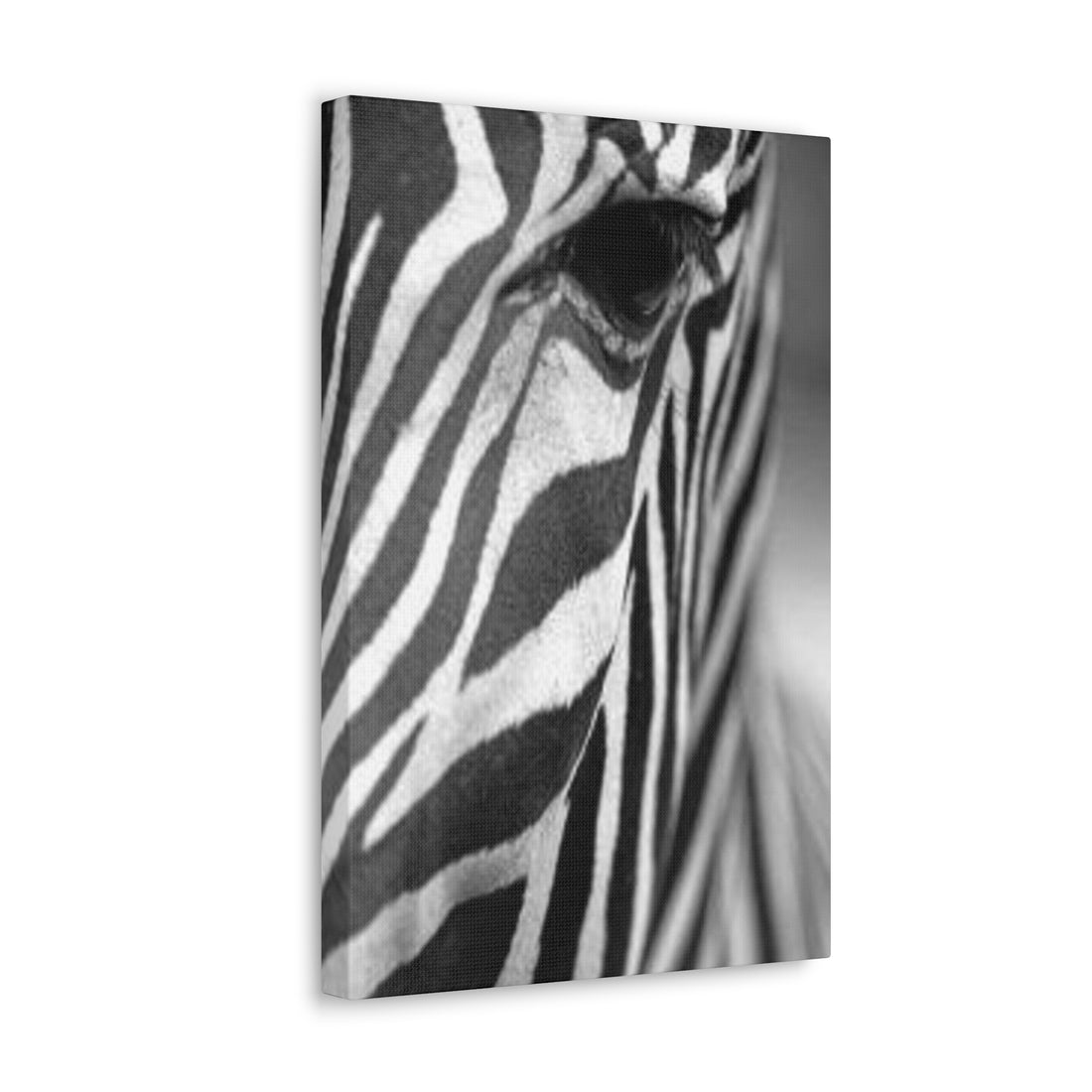 JANDJ Zebra Canvas Wall Art - Zebra Wall Art Canvas