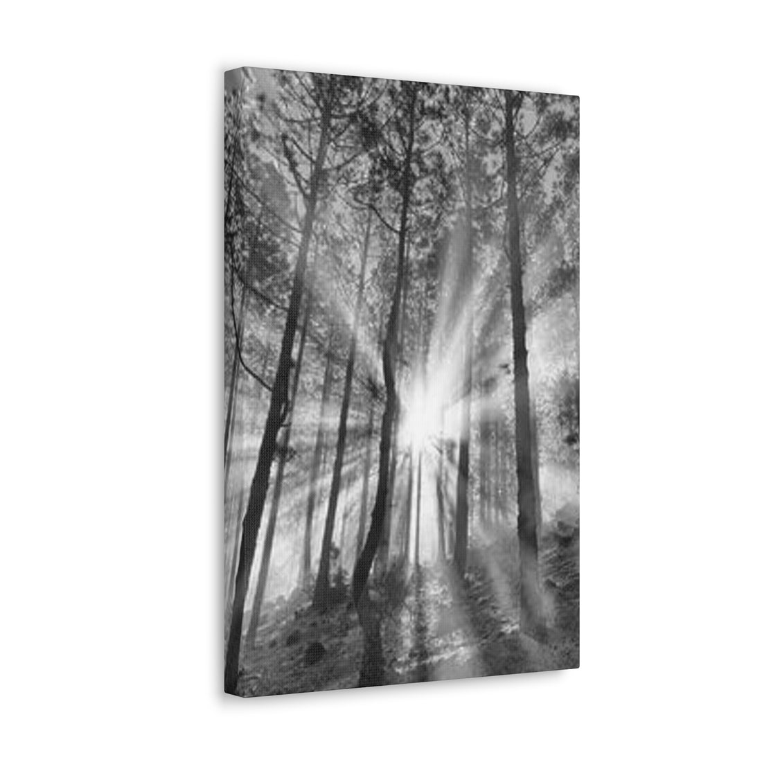 Sunshine Trees Canvas Art - Trees Wall Canvases