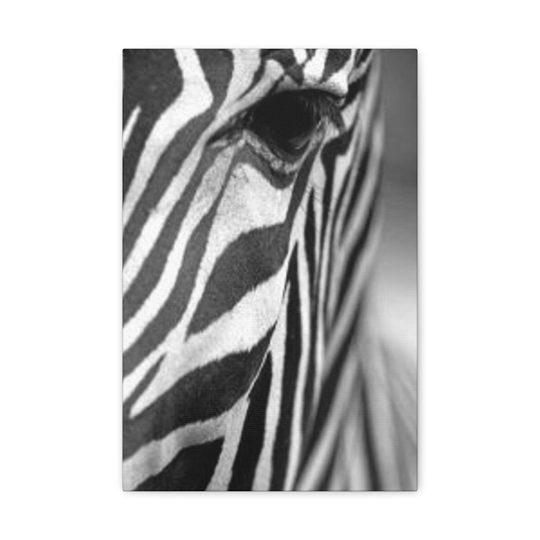 JANDJ Zebra Canvas Wall Art - Zebra Wall Art Canvas