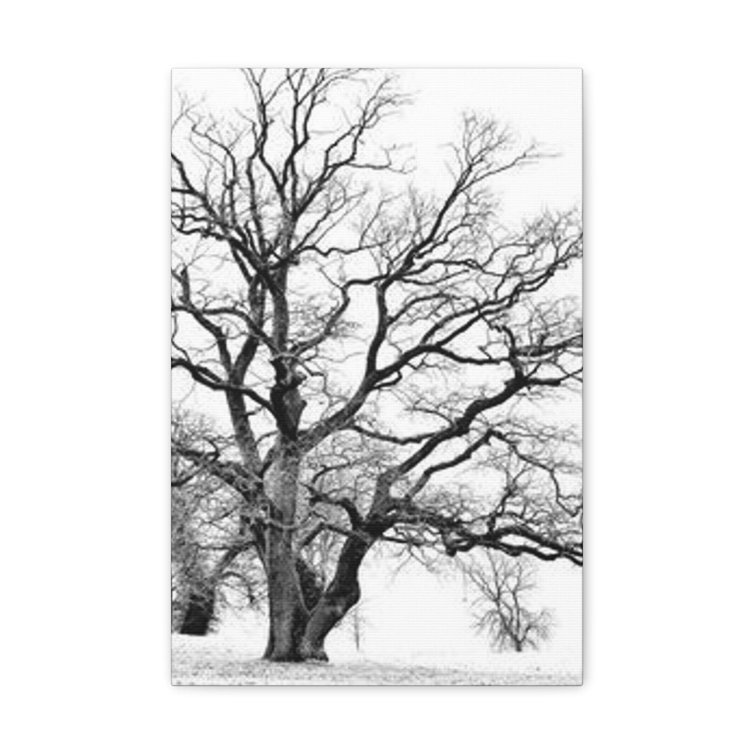 Framed Trees Canvas Wall Art - Tree Art on Wall