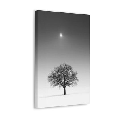 Night View Black Trees Canvas - Trees and Canvas Wall Art