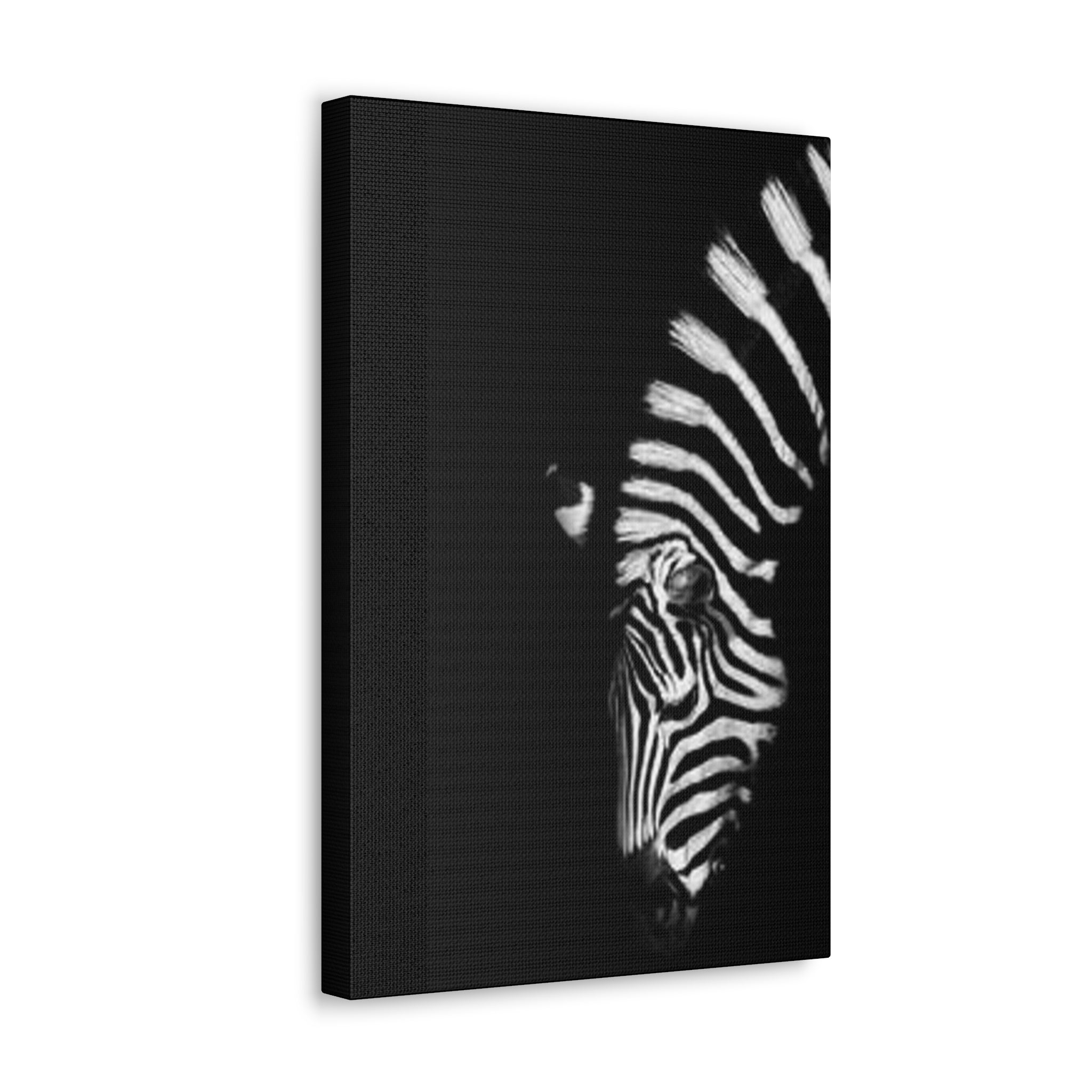 Cotton Fabric Zebra Canvas - Zebra Wall Canvas for Indoor