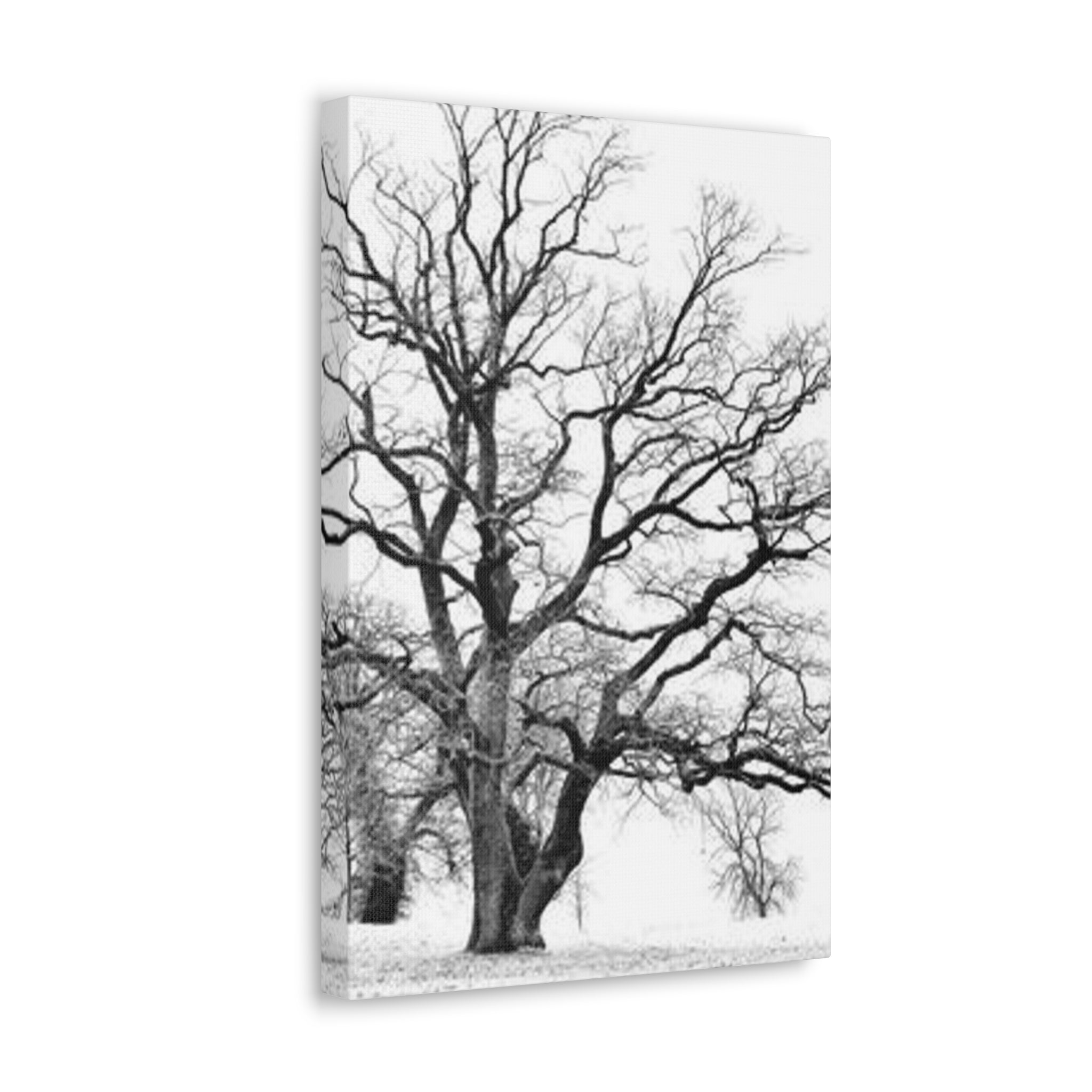 Framed Trees Canvas Wall Art - Tree Art on Wall